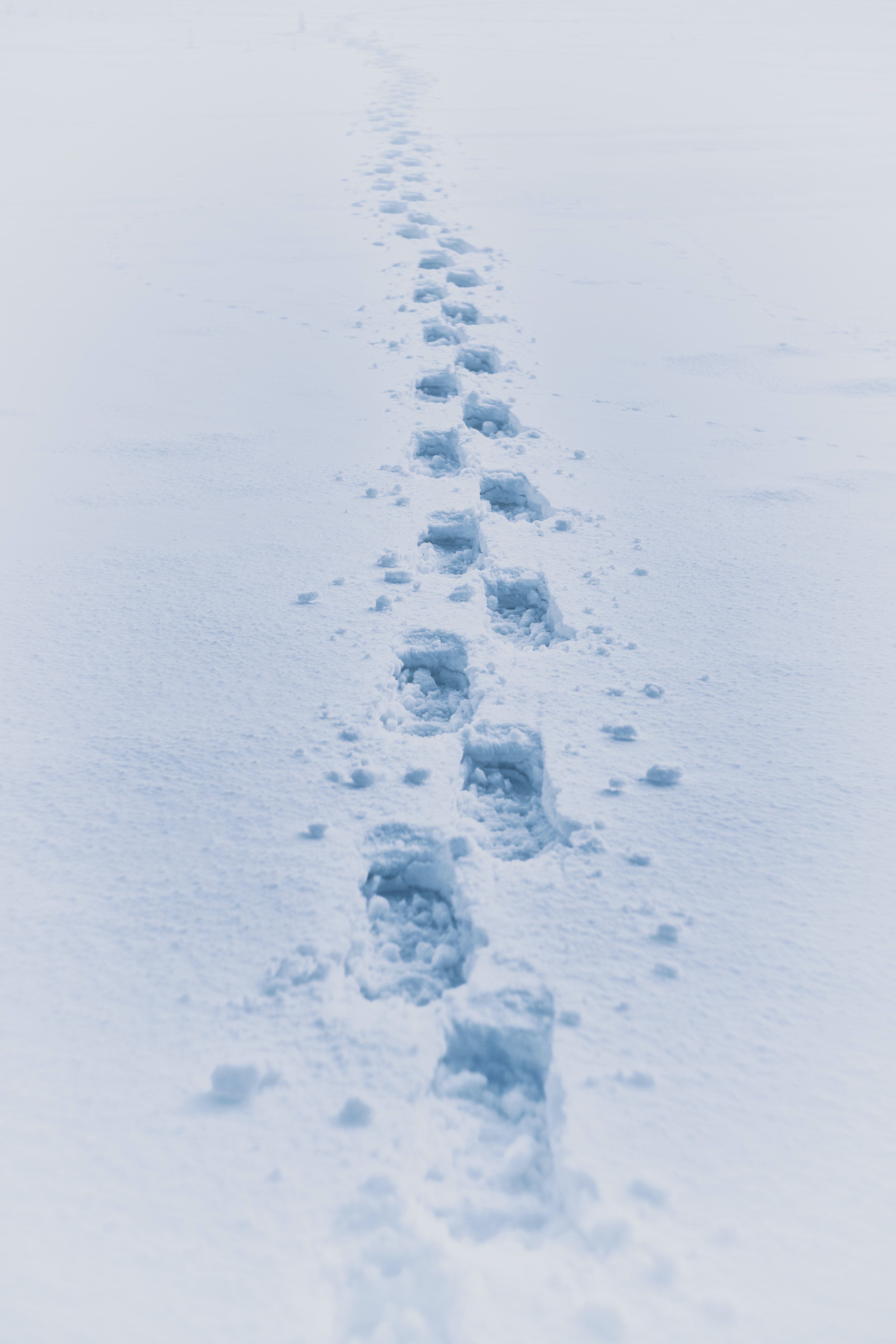 Steps in the snow picturing Arteco Consulting's path as a custom software development business in Mallorca